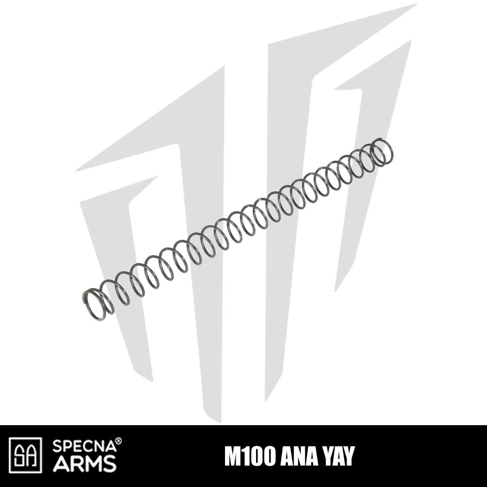 Specna Arms M100 Ana Yay
